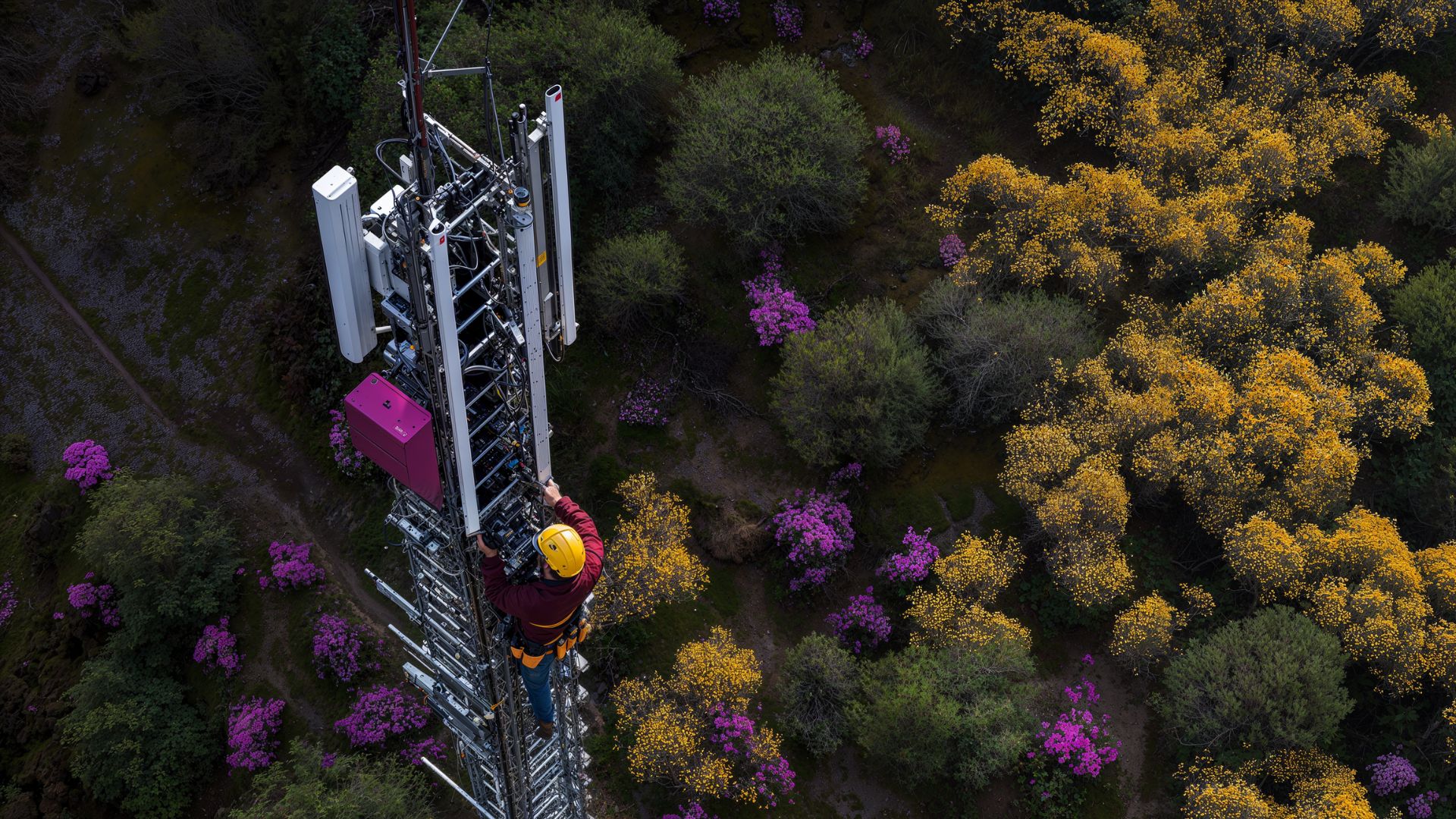 7 tendencias en telecomunicaciones que veremos en el Mobile World Congress 2026